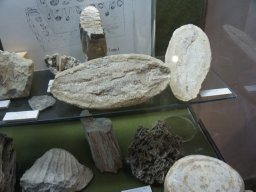 Ciudad de Velez Rubio 2014